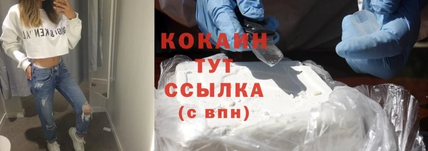 индика Верхнеуральск
