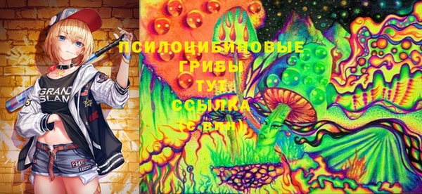МДПВ Верхний Тагил